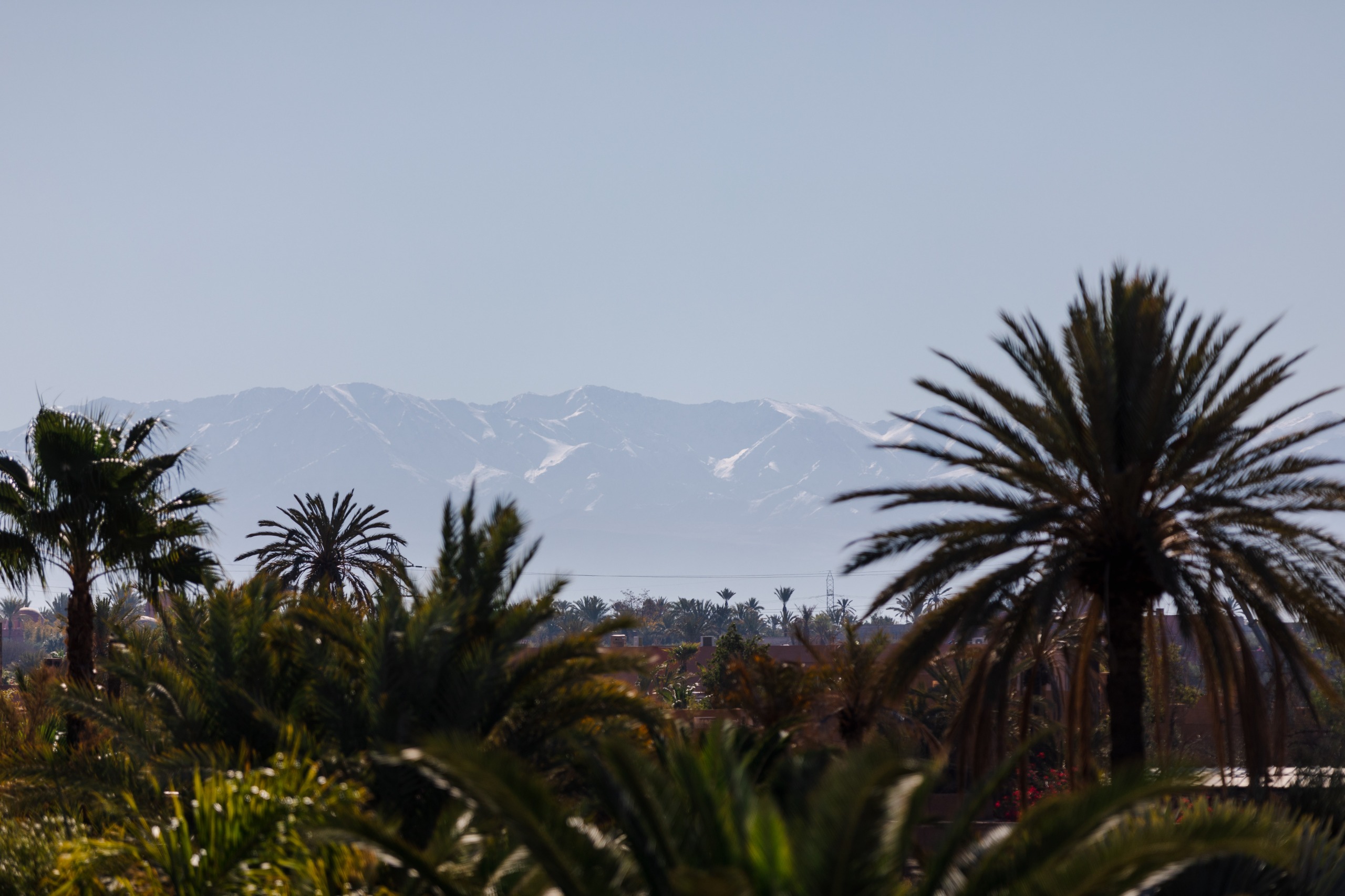Luxury Day Pass Marrakech Palmeraie