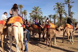 Palmeraie - Eden Lodges & SPA Marrakech