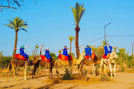 Palmeraie - Eden Lodges & SPA Marrakech