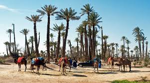 Palmeraie - Eden Lodges & SPA Marrakech